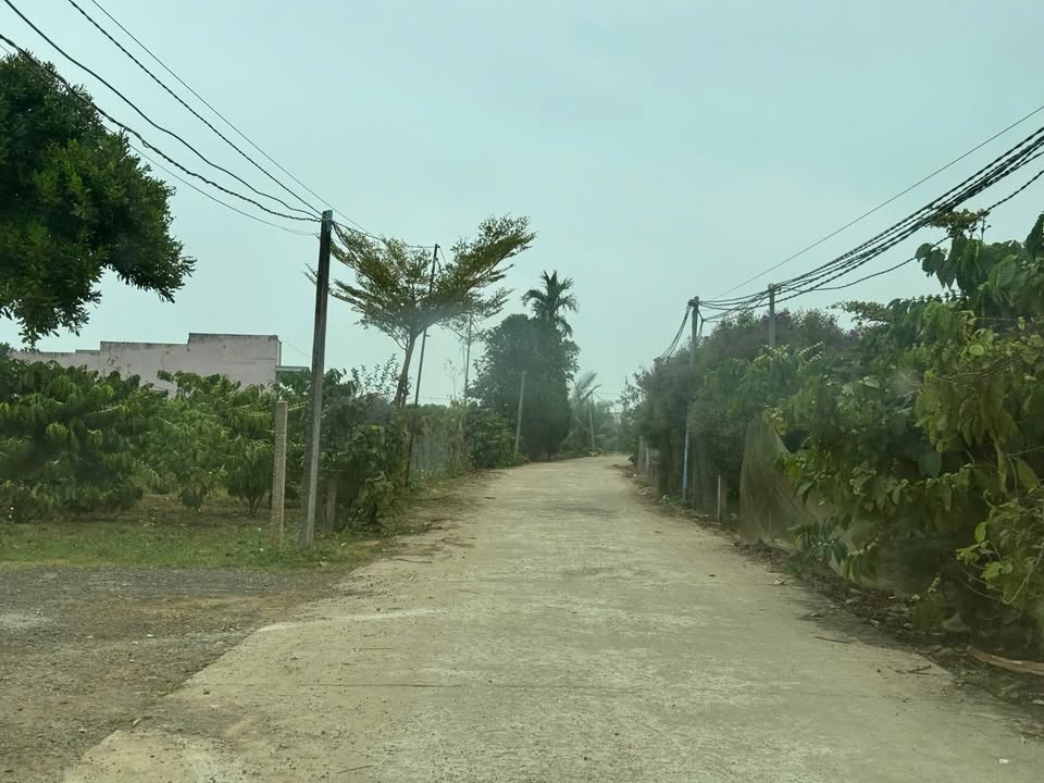 Bán đất Tân Hội, Đức Trọng 135m² giá 399 triệu - Sổ hồng riêng, công chứng ngay!