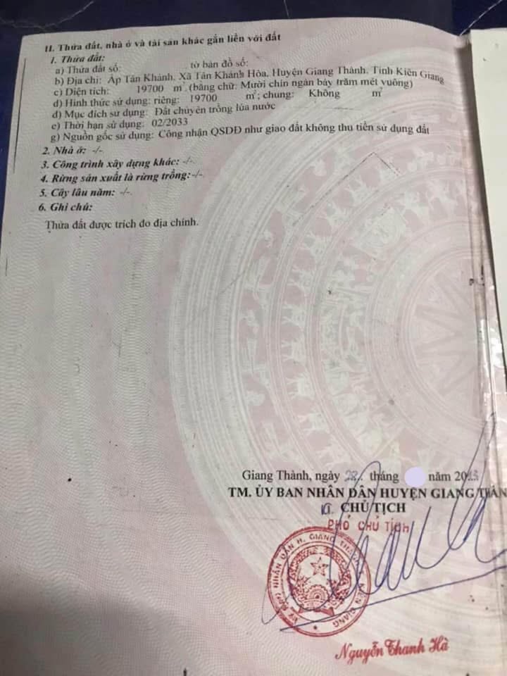 Đất trồng lúa 19.700m² tại Tân Khánh Hòa, Giang Thành - Giá chỉ 1.6 tỷ!