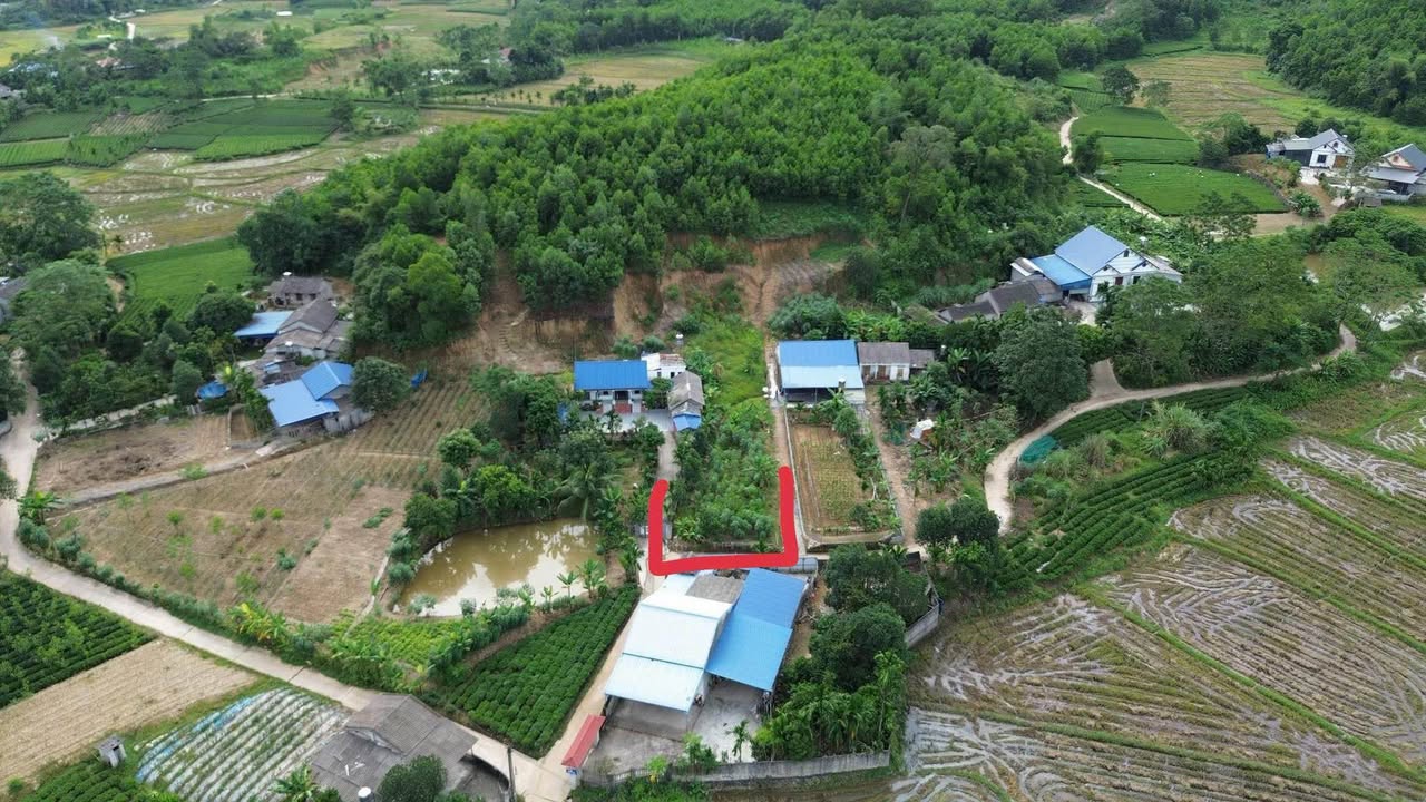 Lô đất Cổ Lũng, Phú Lương 1450m² giá 900 triệu - Cơ hội đầu tư tuyệt vời!