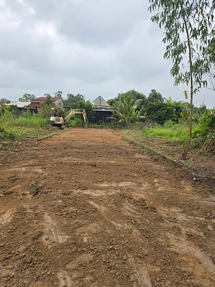 Đất nền đường 605, Huyện Hòa Vang, Đà Nẵng 125m² giá 1.1 tỷ - Cần bán gấp để sắm Tết!