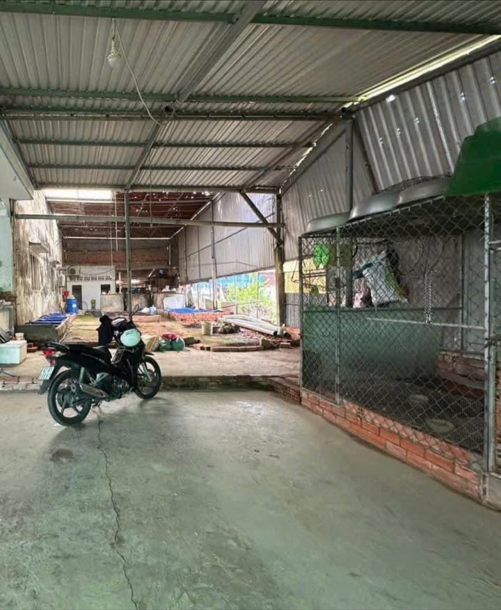 Đất thổ cư 210m² tại ấp Vĩnh Hòa, Tân An - Giá chỉ 670 triệu!