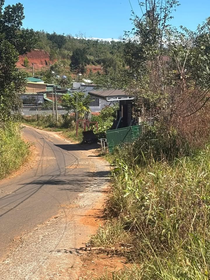 Đất thổ cư 200m² tại xã Trường Xuân, huyện Tháp Mười - Giá chỉ 1.25 tỷ!