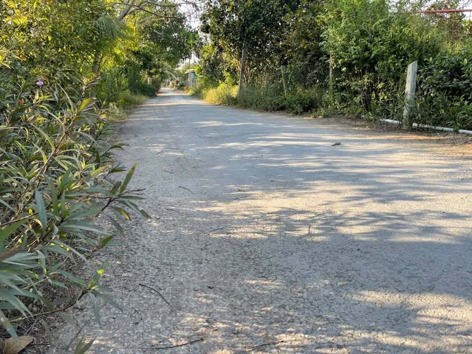 Đất nền 190m² tại Xã Mỹ Quý, Huyện Tháp Mười chỉ 360 triệu - Chính chủ bán gấp!