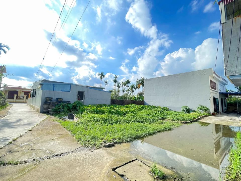 Đất nền góc Kiều Hạ, An Dương 55m² giá chỉ 999 triệu - Cơ hội đầu tư hấp dẫn!