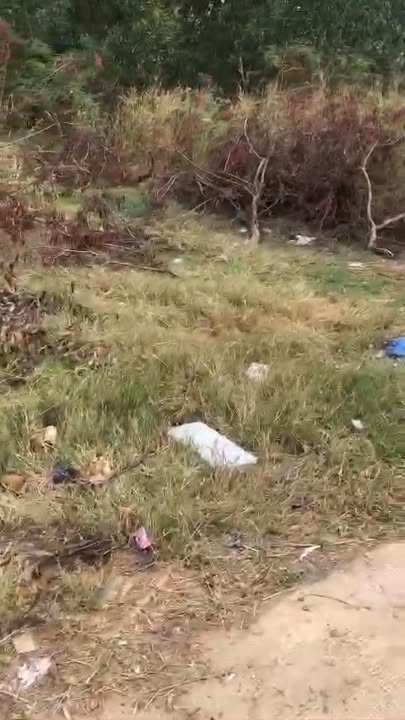 Đất vườn 2 mặt tiền xã Bình Chánh 2100m² giá chỉ 3 triệu/m² - Cơ hội đầu tư tuyệt vời!