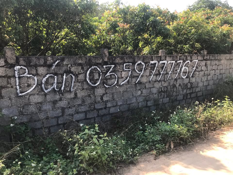 Đất nền Mẫu Sơn, Lục Nam 648m² - Đường lớn 40m kết nối sân golf!