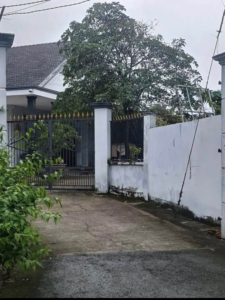 Đất thổ cư Tân Đông Hiệp 138m² giá 3 tỷ - Đầu tư tiềm năng!