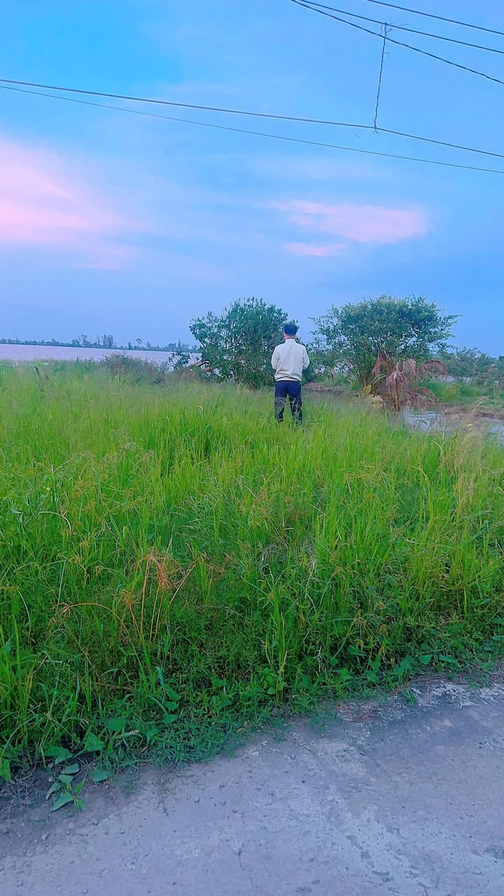 Đất nền Tân Hiệp B, Kiên Giang 900m² giá 2.8 tỷ - Sổ hồng chính chủ!