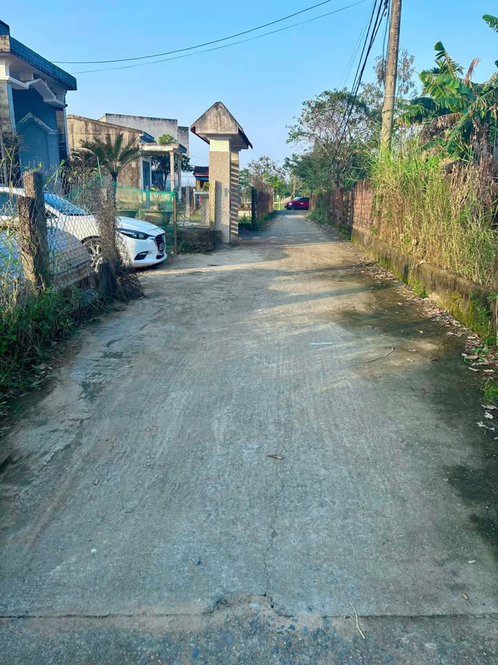 Lô Đất Yến Nê Hòa Tiến 124m² giá 1.6 tỷ - Sổ đỏ chính chủ, xây dựng tự do!