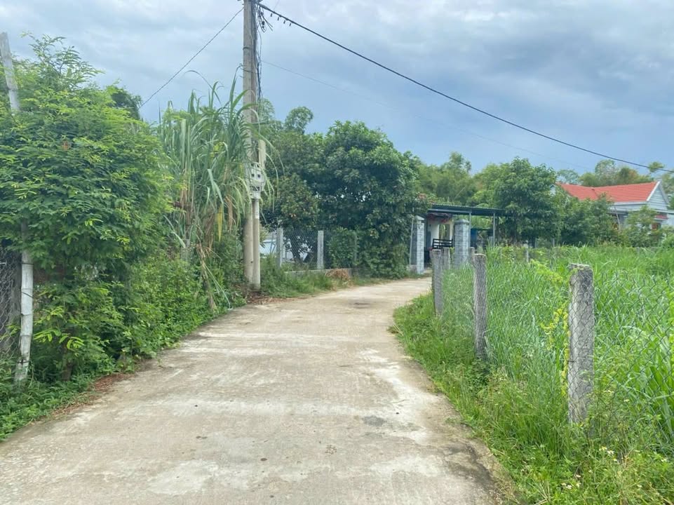 Đất nền Cát Tài, Phù Cát, 150m² giá chỉ 200 triệu - Cơ hội đầu tư hấp dẫn!