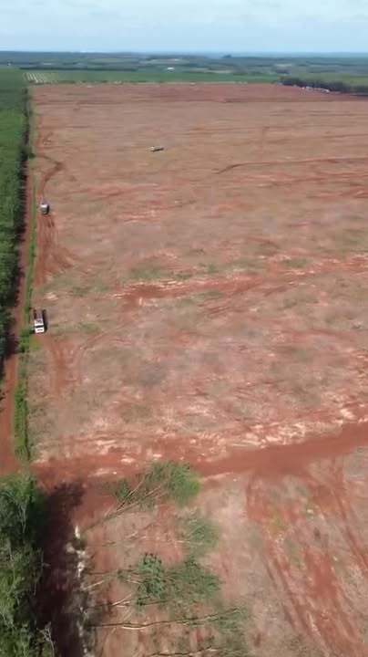 Đất nông nghiệp 1870000m² tại Lộc Ninh, Bình Phước - Giá chỉ 2 tỷ/ha