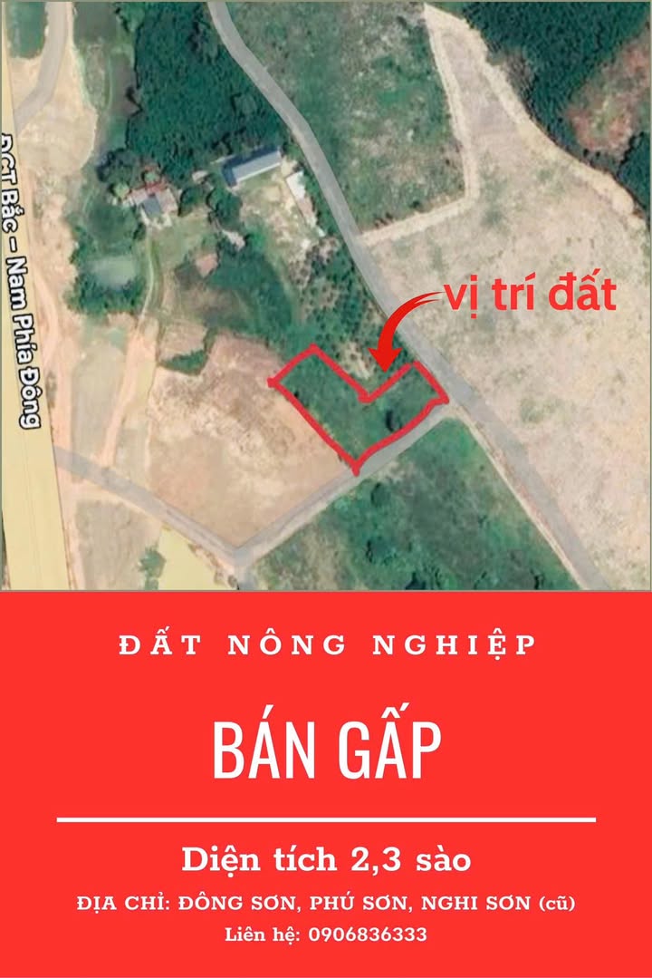 Đất nông nghiệp 720m² tại Phường Trúc Lâm - Giá thương lượng hấp dẫn!