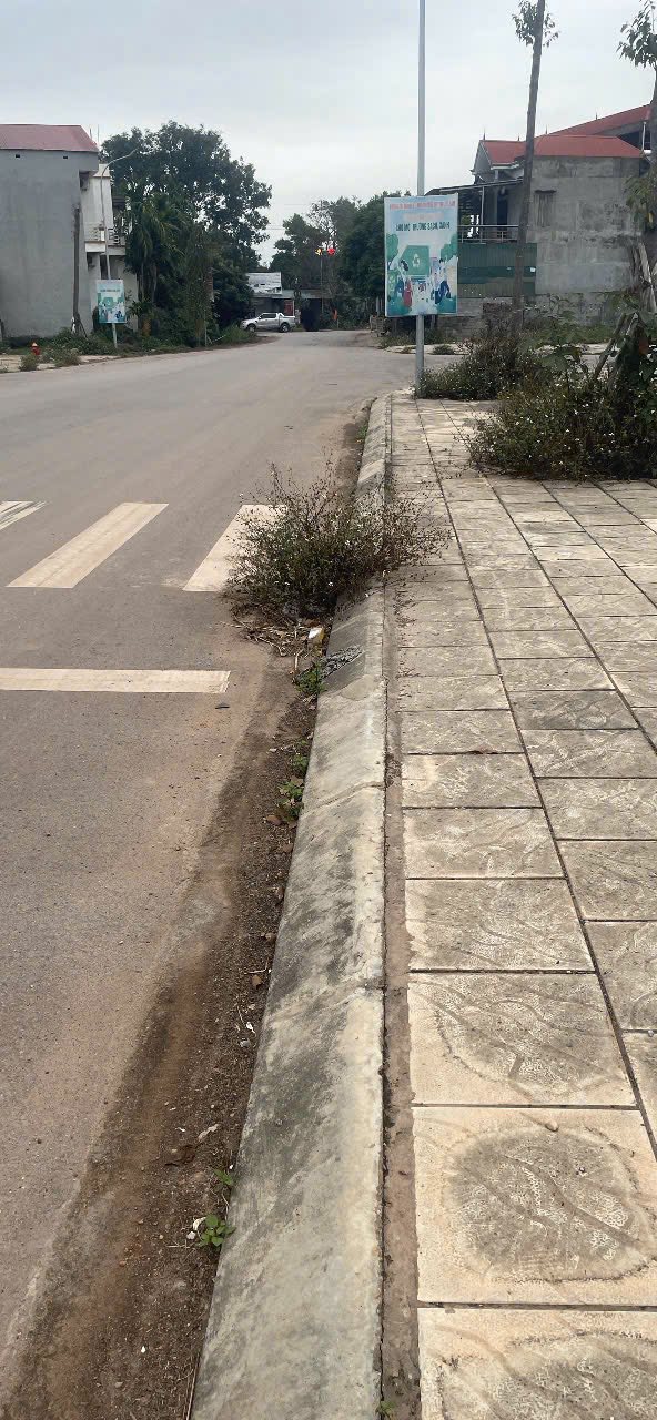 Đất nền Khu dân cư mới số 1 Thanh Lâm 82.5m² giá 2.1 tỷ - Sổ đỏ chính chủ, không lỗi phong thủy!