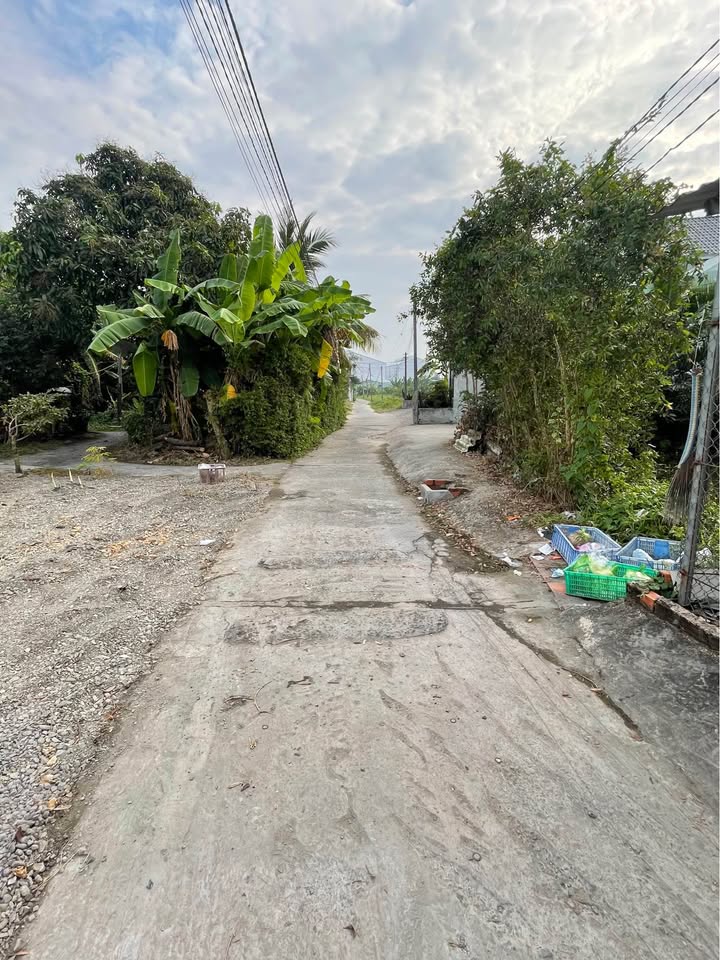 Đất nền phường 5 Tân An 185m² giá 950 triệu - Giao thông thuận lợi!