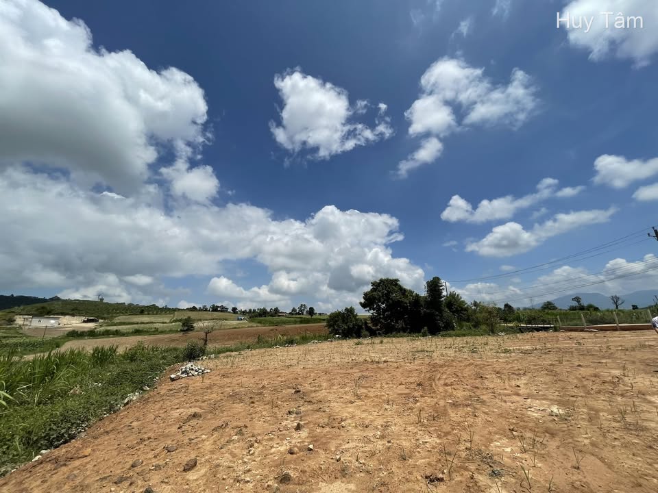 Đất nền Samten Hill, Lâm Đồng 1.300m² giá 1.48 tỷ - Cuộc sống an yên bên suối