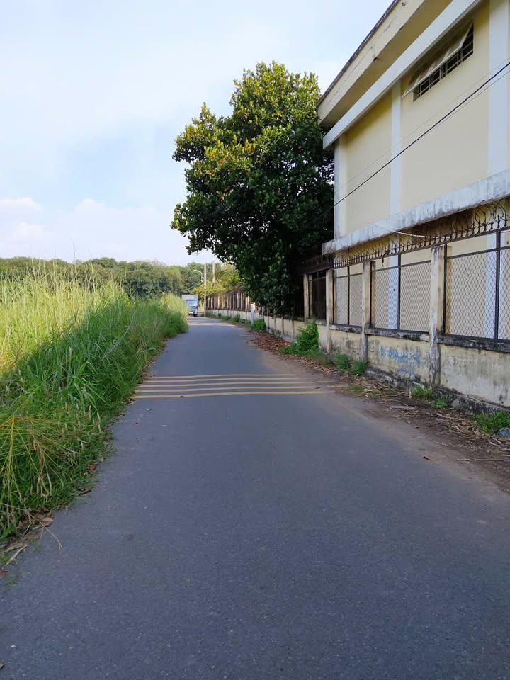 Đất nền Phường Tân Định, Quận 1, 4920m², Giá chỉ 15 tỷ - Cơ hội đầu tư hấp dẫn!