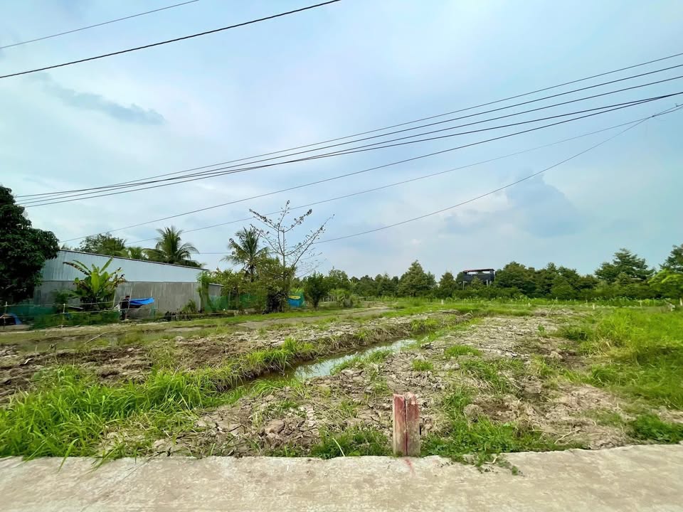 Đất nền phường Ba Láng, quận Cái Răng, 137m² chỉ 590 triệu - Đầu tư sinh lời ngay!