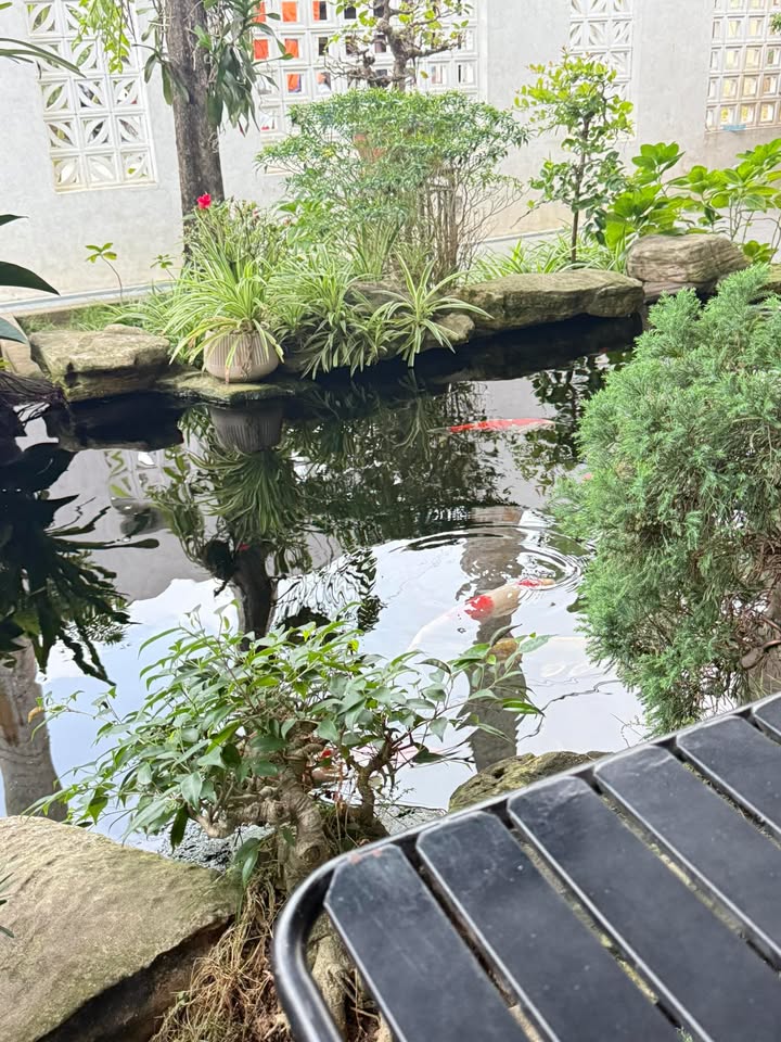 Đất nền Tân Định, Quảng Định, 114m² giá 1.6 tỷ - Cơ hội vàng cho đầu tư!