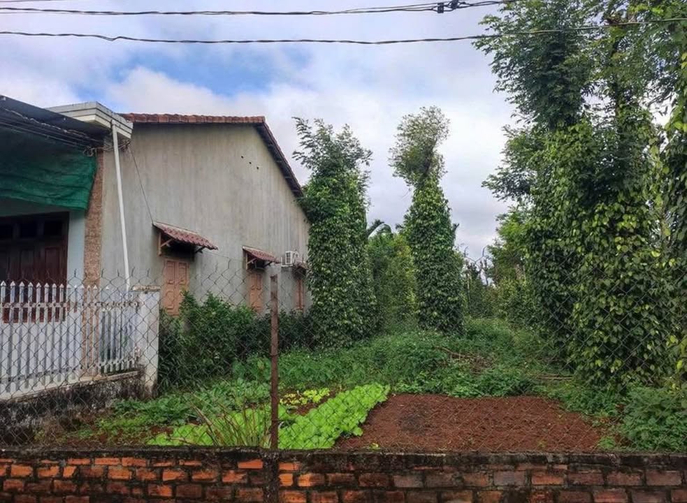 Đất liền kề Thôn 3 Ea Tiêu 150m² giá 800 triệu - Cơ hội đầu tư tuyệt vời!