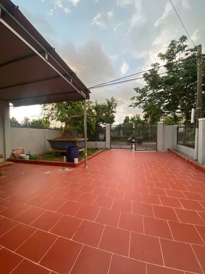 Nhà mặt tiền đường nhựa Thôn 8 Cư Êbur 480m² chỉ 2 tỷ - Cơ hội đầu tư tuyệt vời!