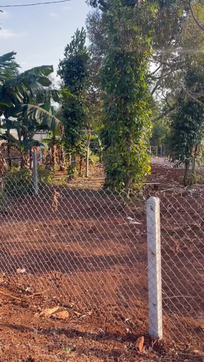 Đất nền hẻm 303 Ywang, 230m² giá 1.85 tỷ - Khu vực phát triển tiềm năng!