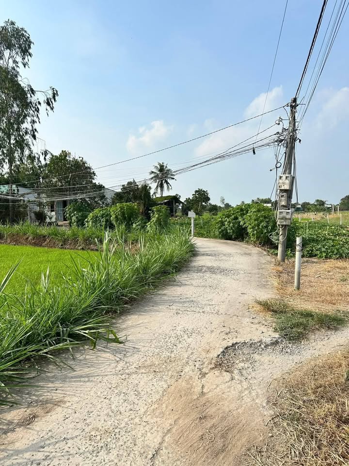 Đất nền Thanh Nhung, Xã Phước Trung, 315m² giá 295 triệu - Cơ hội đầu tư hấp dẫn!