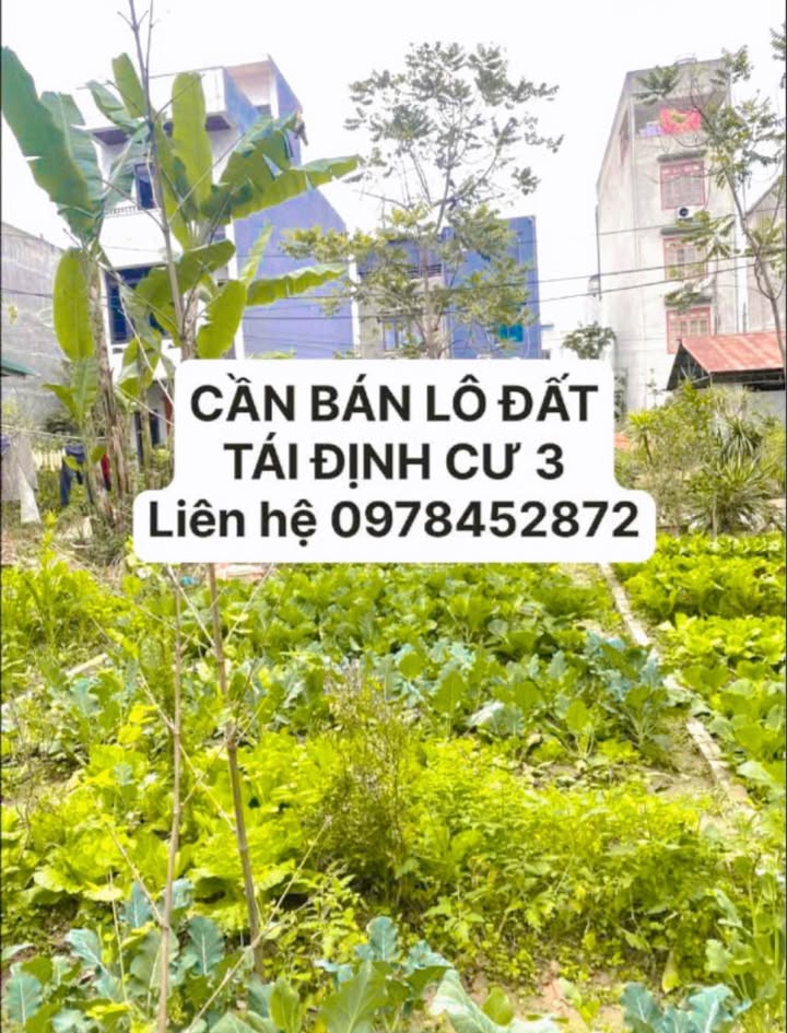 Đất nền tại khu Tái định cư 3 Đề Thám, 67,5m² giá 2 tỷ - Sổ đỏ chính chủ!