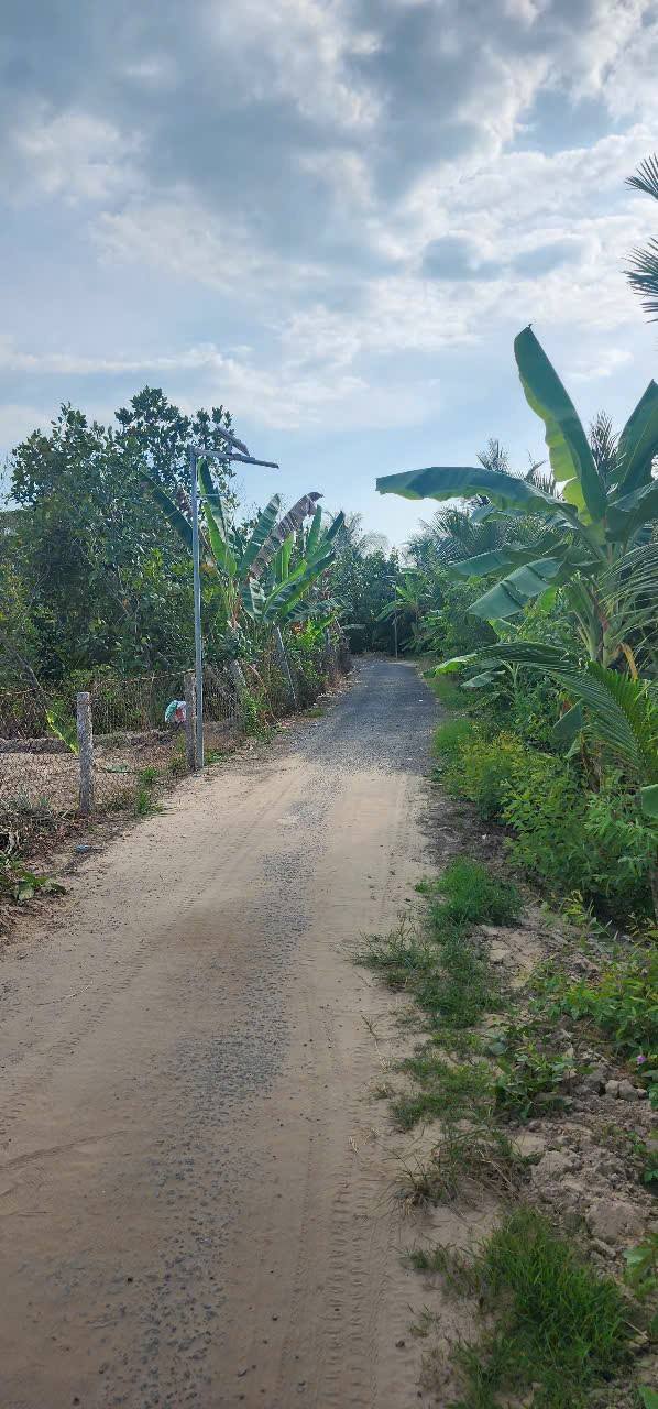 Đất nền 100m² tại Tân Hạnh, Long Hồ chỉ 350 triệu - Cơ hội đầu tư hấp dẫn!