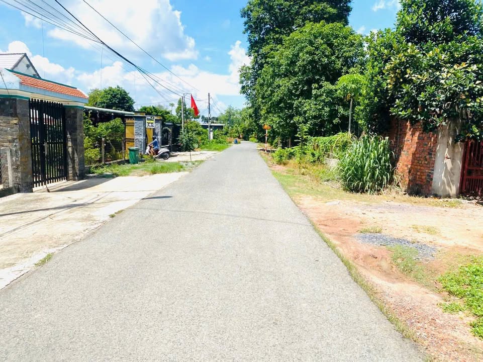 Đất nền 1000m² đường Hố Bò, Phú Mỹ Hưng, Củ Chi - Giá tốt, pháp lý rõ ràng!