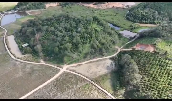 Đất nông nghiệp 1,3ha tại Đắk Drô - Giá 1,55 tỷ - View tuyệt đẹp!