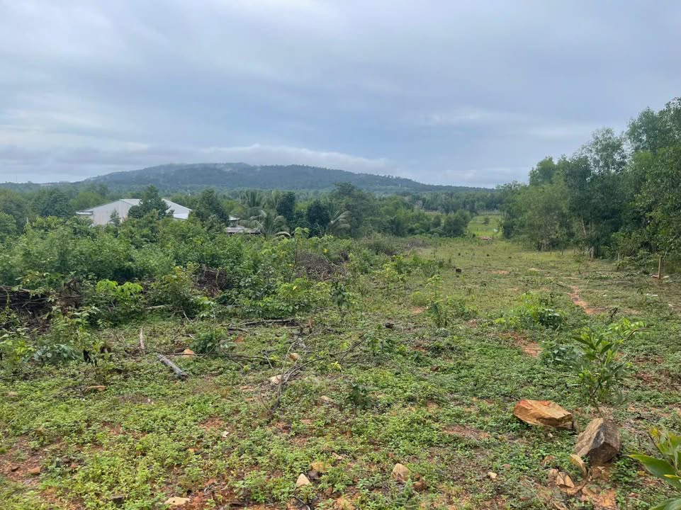 Đất nền Cửa Cạn, Phú Quốc 52.000m² giá 7 tỷ - View đồi thơ mộng như Đà Lạt!