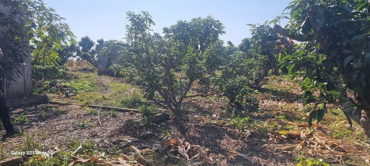 Đất thổ cư 360m² tại Đồng Cốc, Lục Ngạn - Chỉ 1.58 tỷ, nhà đẹp sẵn!