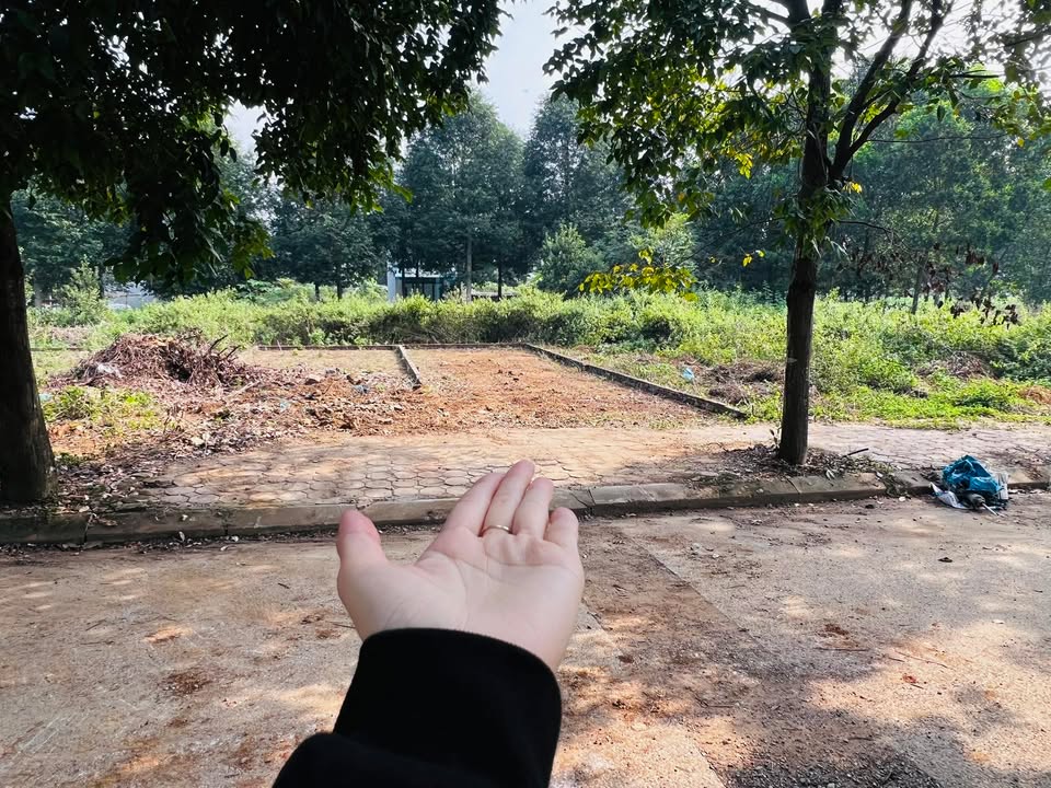 Đất nền TDC ĐHQGHN C4-09 66,8m² giá thương lượng - Pháp lý rõ ràng