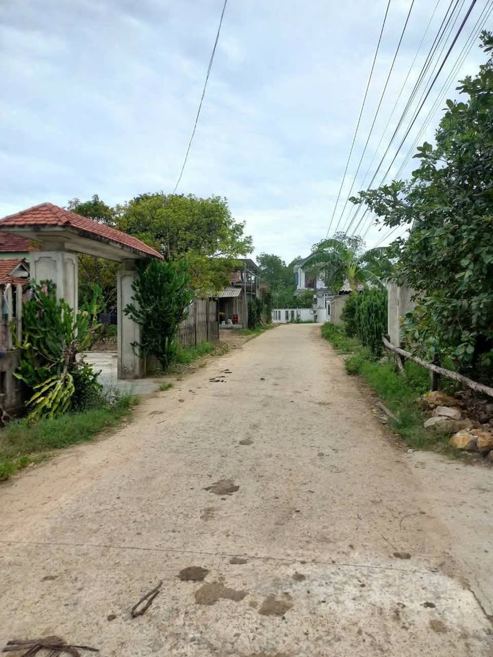 Đất nền Phường Kim Long - 200m² giá 600 triệu - Cơ hội đầu tư tuyệt vời!