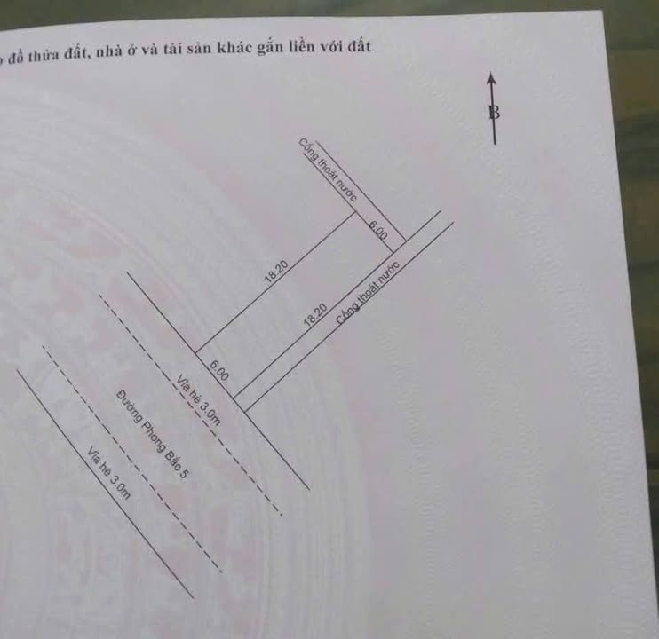 Đất mặt tiền đường 5m5 Phong Bắc 5, Hòa Thọ Đông, 110m² - Đầu tư sinh lời tốt!