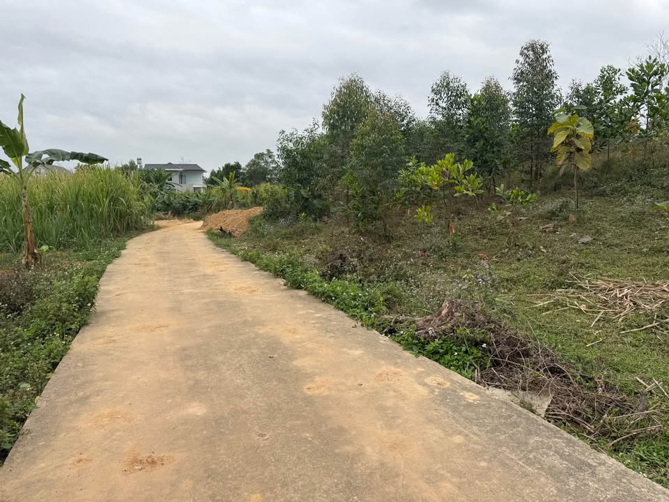 Đất nền Tân Cương, Phổ Yên 824m² giá 4 tỷ - Cơ hội đầu tư tuyệt vời!