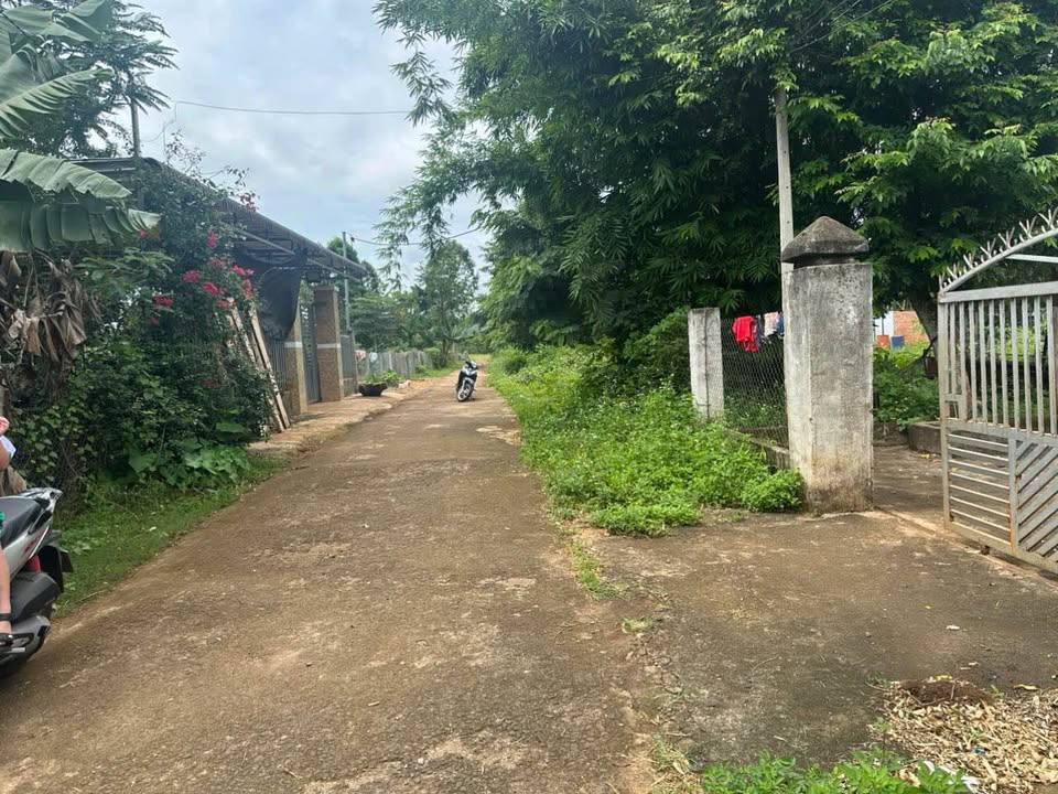 Đất nền Phường Ea Tam 522m² giá 820 triệu - Đầu tư sinh lời ngay!