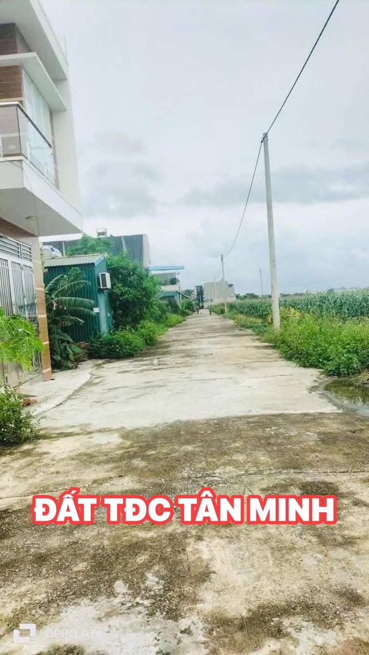 Đất tái định cư Tân Minh - Song An 113m² giá 1.8 tỷ - Đầu tư sinh lời ngay!