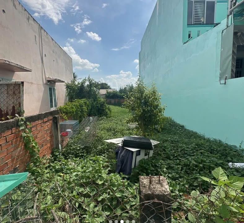 Đất thổ cư 130,6m² tại xã Mỹ Lộc, Cần Giuộc - Giá chỉ 1,68 tỷ!