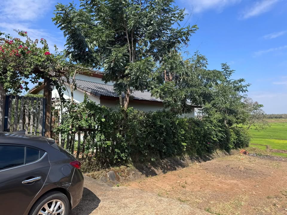 Đất thổ cư 512m² tại Ea Nuôl, Buôn Đôn giá chỉ 1.85 tỷ - Đầu tư sinh lời ngay!