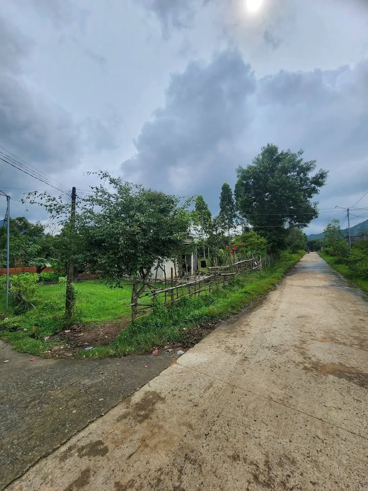 Đất thổ cư xã Yang Reh, huyện Krông Bông 245m² giá chỉ 245 triệu - Cơ hội đầu tư tốt!