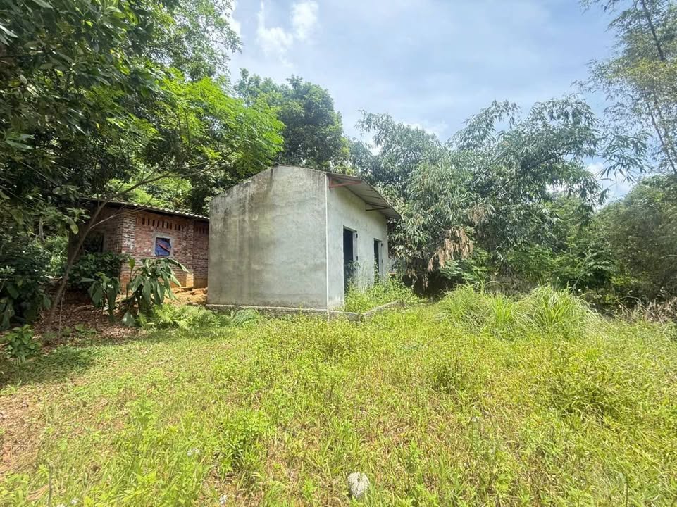 Đất nền Phường Sơn Lộc 550m² giá 2 tỷ - Tiềm năng đầu tư lớn!