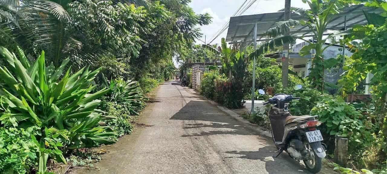 Đất nền An Bình, Cần Thơ 100m² giá 900 triệu - Pháp lý rõ ràng, ô tô vào tận nơi!