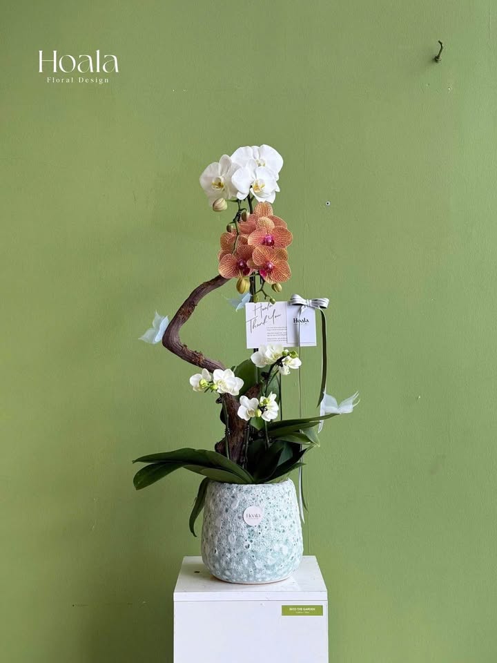 Đất thổ cư Tân Tiến, Chương Mỹ, 62m² giá 2.5 tỷ - Lô góc, mặt tiền rộng