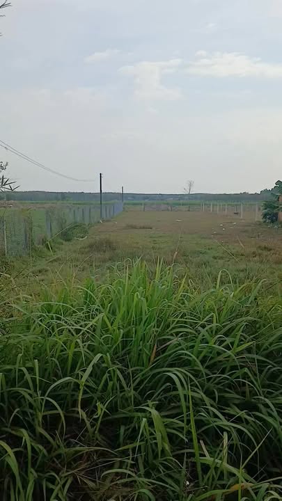 Đất nền Kp Lộc Phước, An Tịnh 912m² giá 1.44 tỷ - Đầu tư sinh lời ngay!