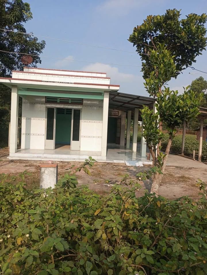 Nhà phố Trảng Bàng Tây Ninh 700m² giá 1.25 tỷ - Chính chủ bán gấp!