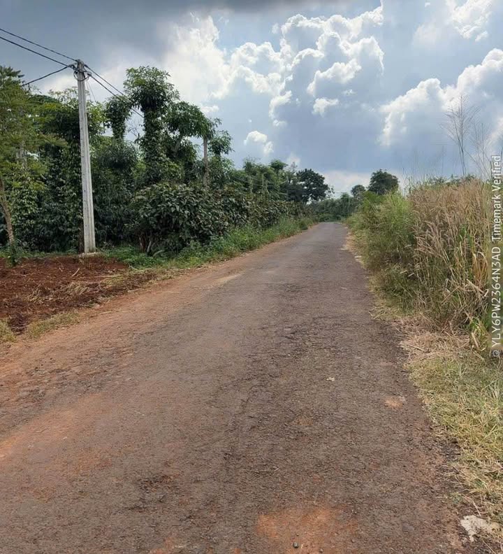 Đất nông nghiệp mặt tiền đường Nhựa Khánh Xuân 540m² giá chỉ 699 triệu - Sổ đỏ chính chủ!