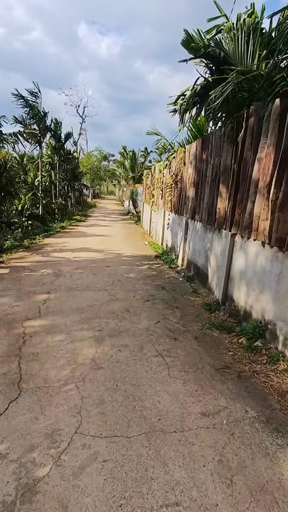 Đất nền đẹp 11835m² tại Phường Tân An, Buôn Ma Thuột - Giá chỉ 4.25 tỷ!