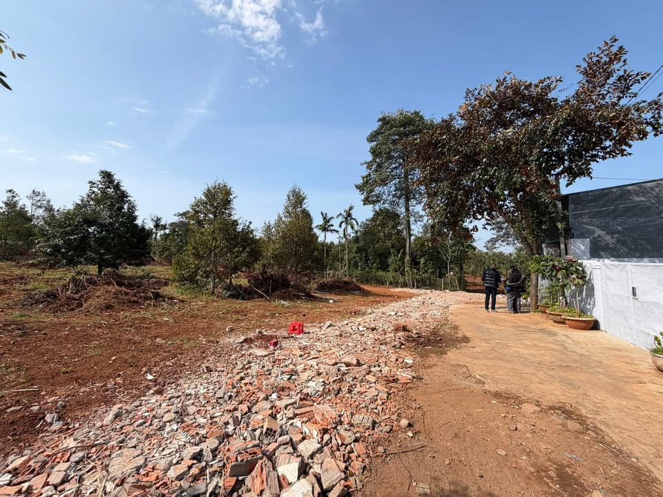 Đất thổ cư Hẻm 72 Trần Quý Cáp Buôn Ma Thuột 80m² giá từ 1.2 tỷ - Sổ hồng riêng, xây dựng ngay!