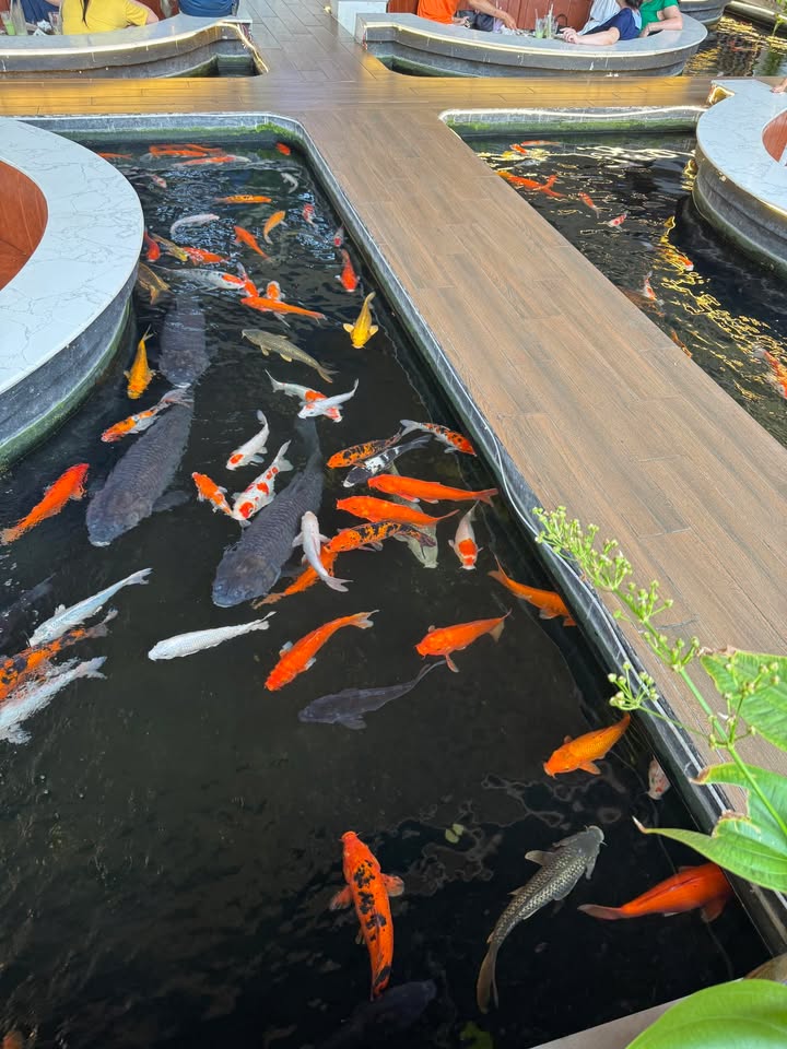 Bán nhà mặt đường Hàng Kênh, Quận Lê Chân, 20m², giá chỉ 1.15 tỷ - Kinh doanh đắc địa!